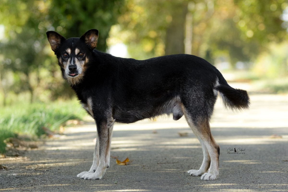 Photo #2 de Kimbalou