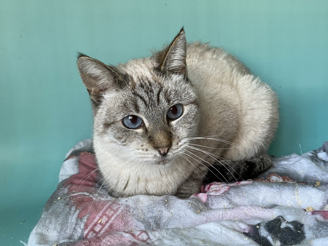 Photo #1 de Faustine