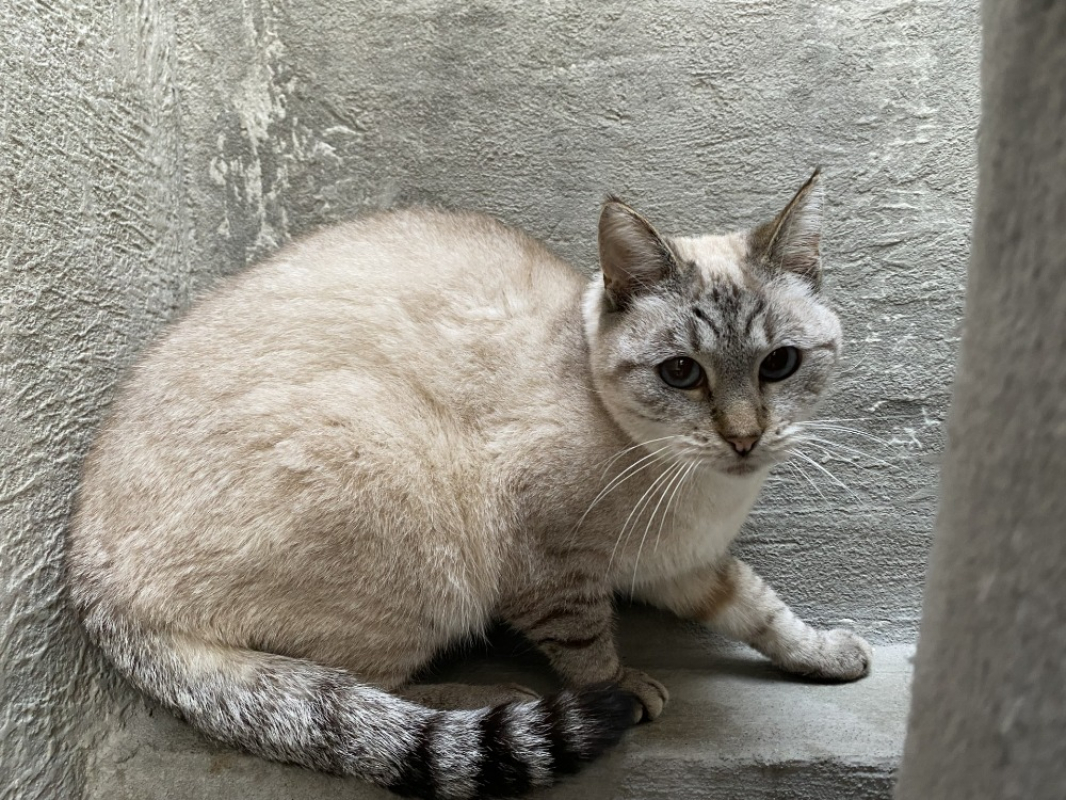 Photo #2 de Faustine