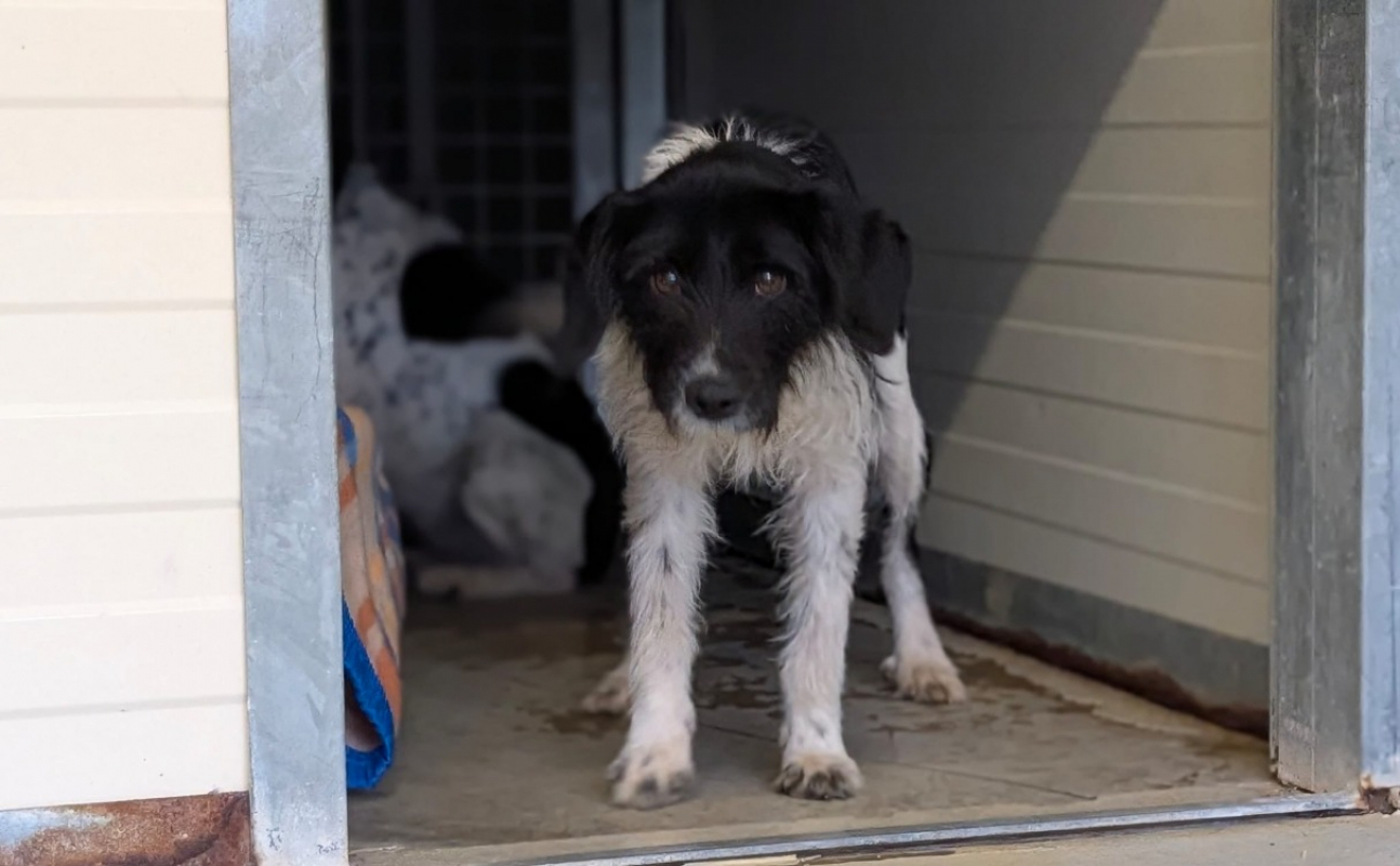 Photo #1 de Craquotte