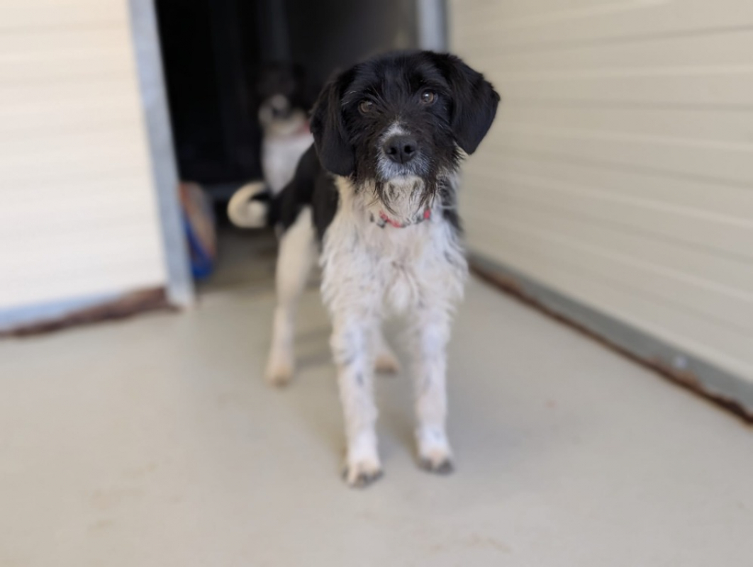 Photo #3 de Craquotte