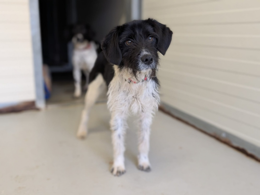 Photo #4 de Craquotte