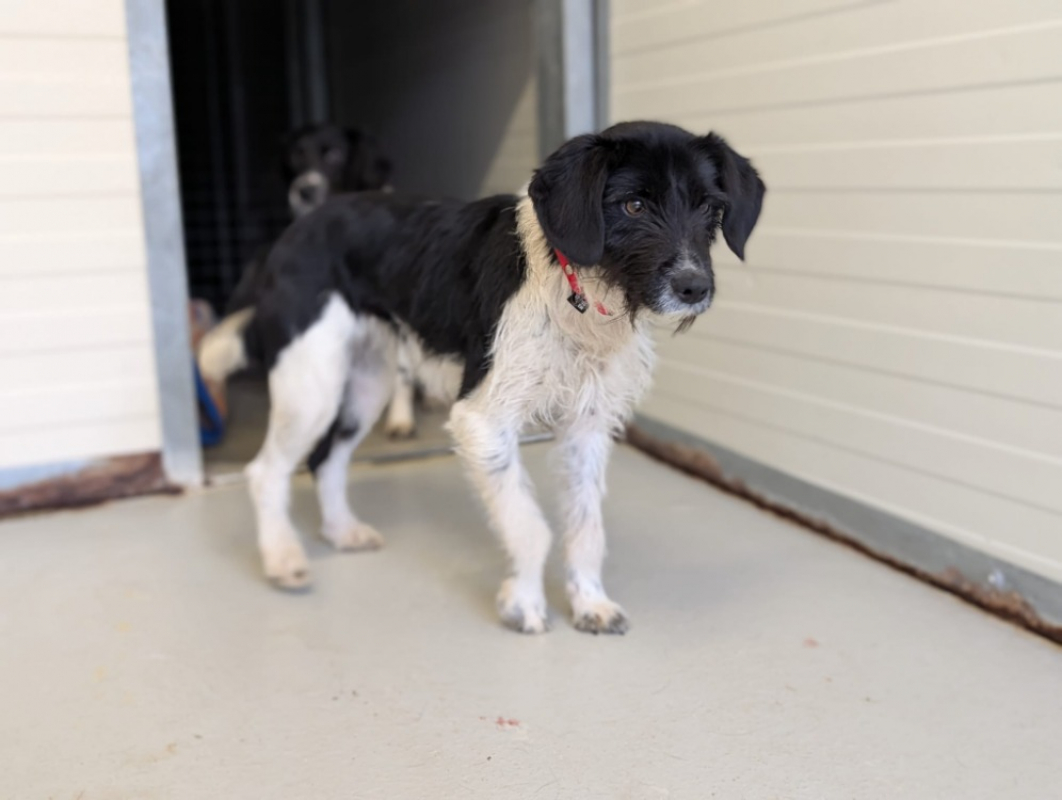 Photo #5 de Craquotte