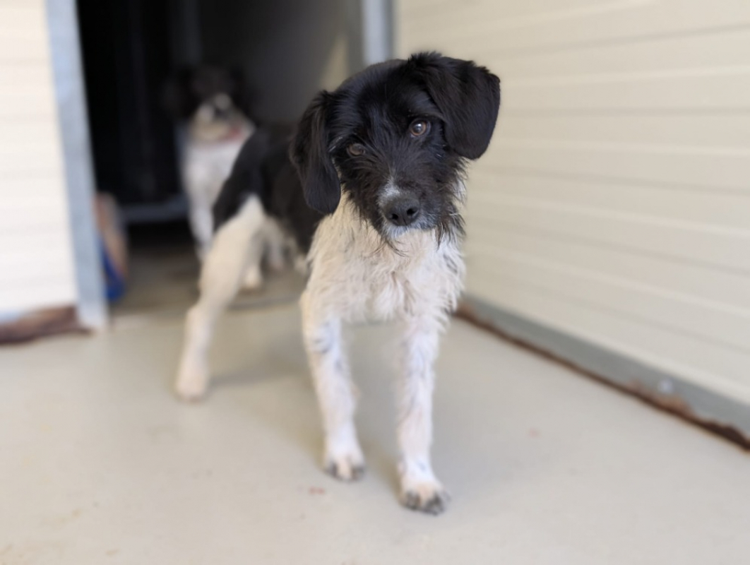 Photo #6 de Craquotte