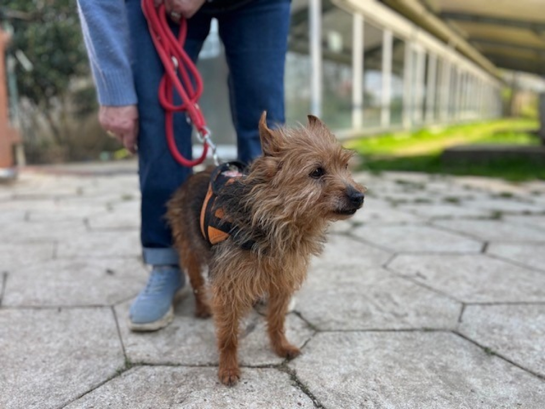 Photo #1 de Huguette