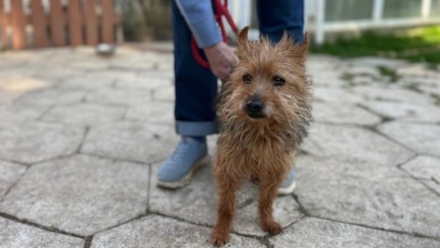 Photo #2 de Huguette