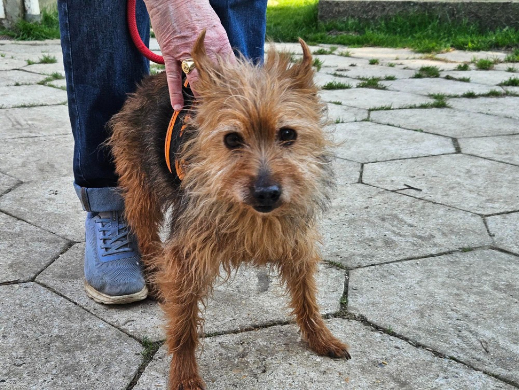 Photo #3 de Huguette