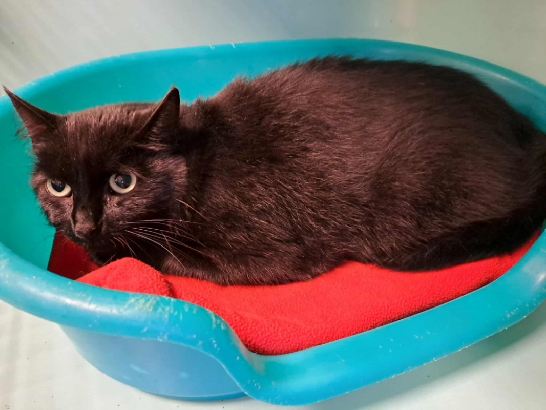 Photo #1 de Mireille