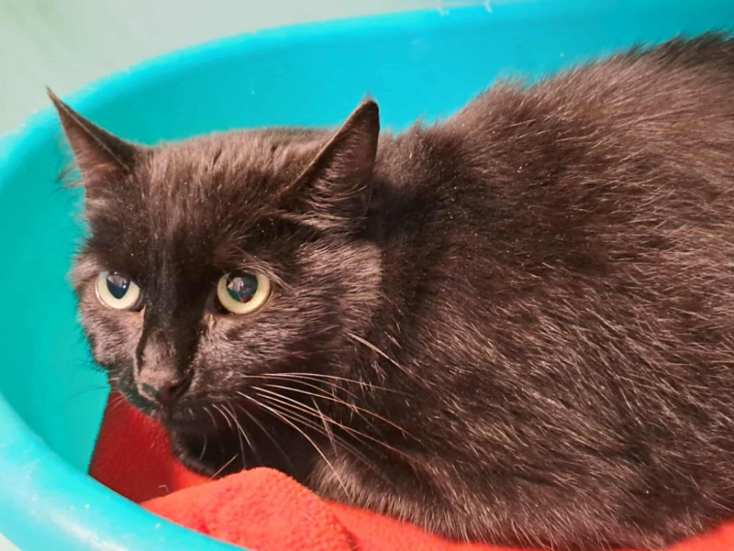 Photo #2 de Mireille