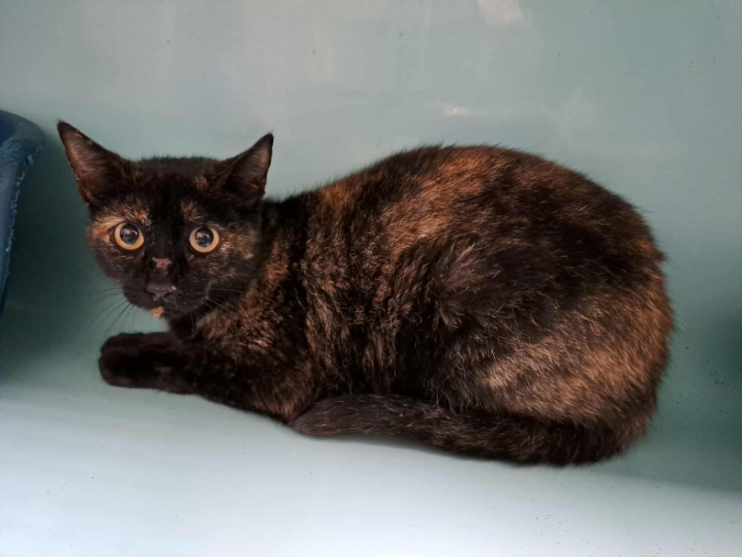 Photo de Monique qct