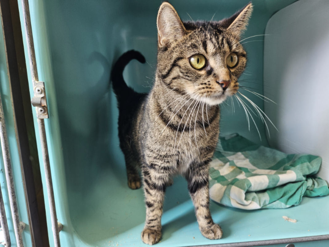 Photo de Valeriane c