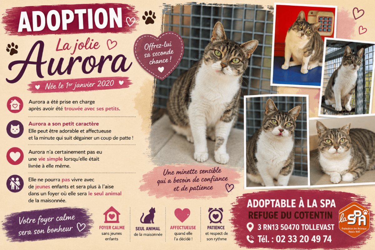 Photo de Aurora