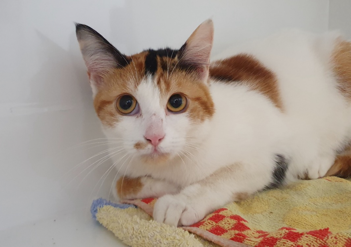 Photo #1 de Mississipi