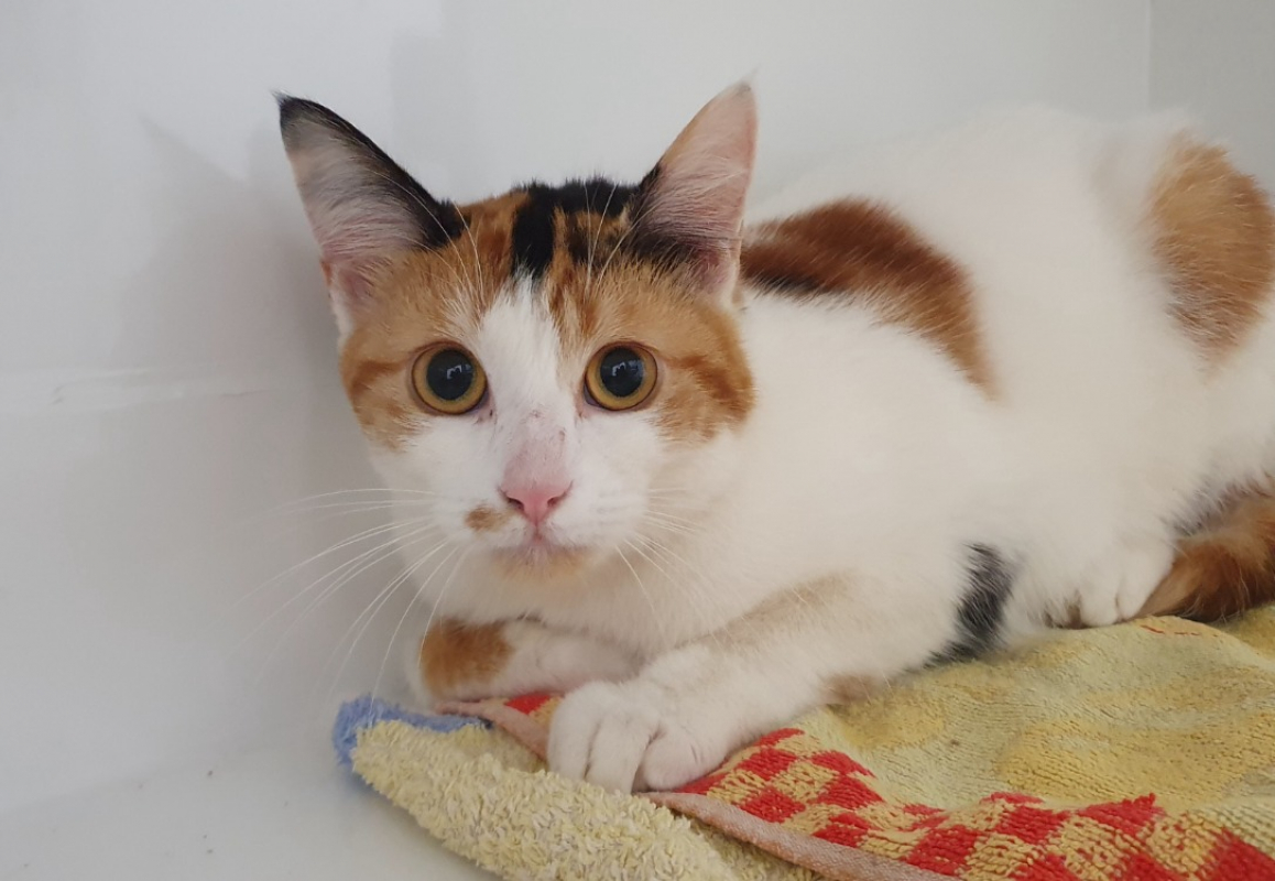 Photo #2 de Mississipi