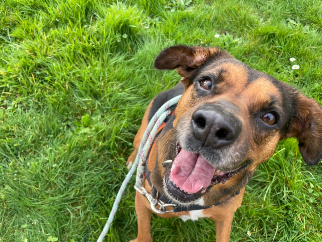 Photo #1 de Oly promise