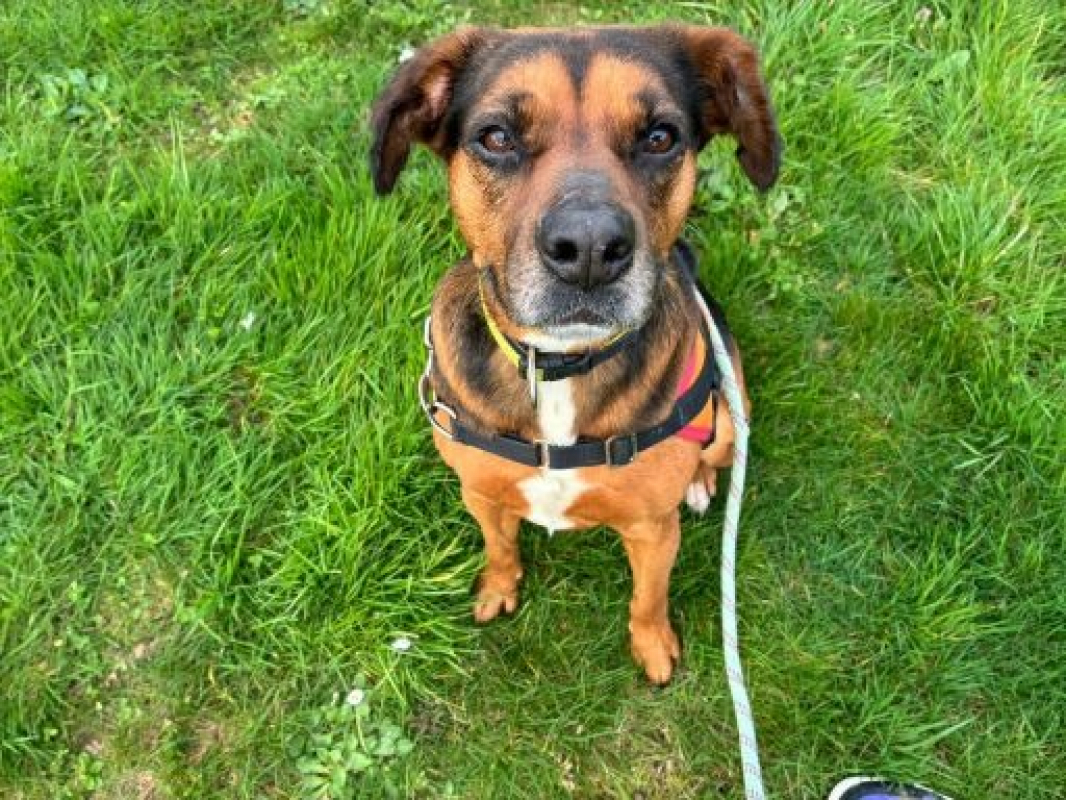 Photo #2 de Oly promise