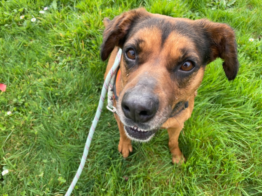 Photo #3 de Oly promise