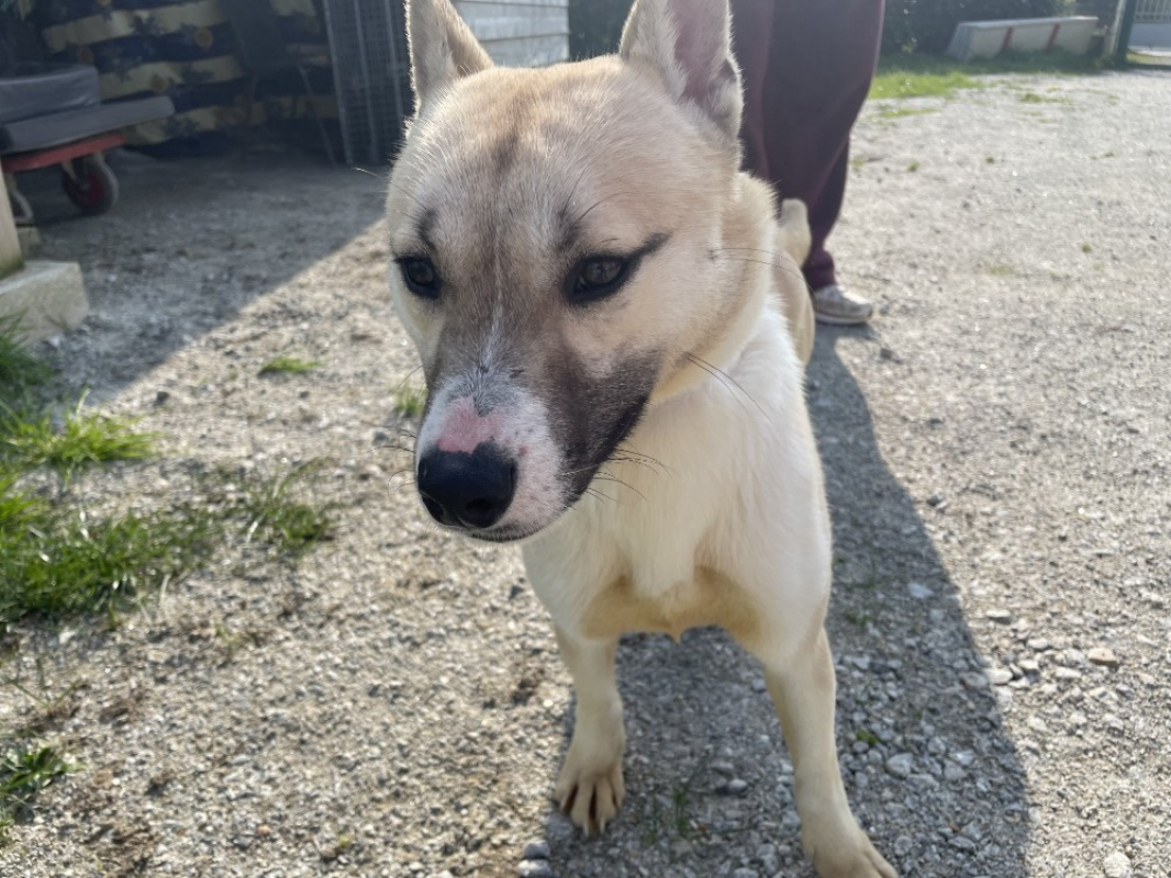 Photo #2 de Booba promis