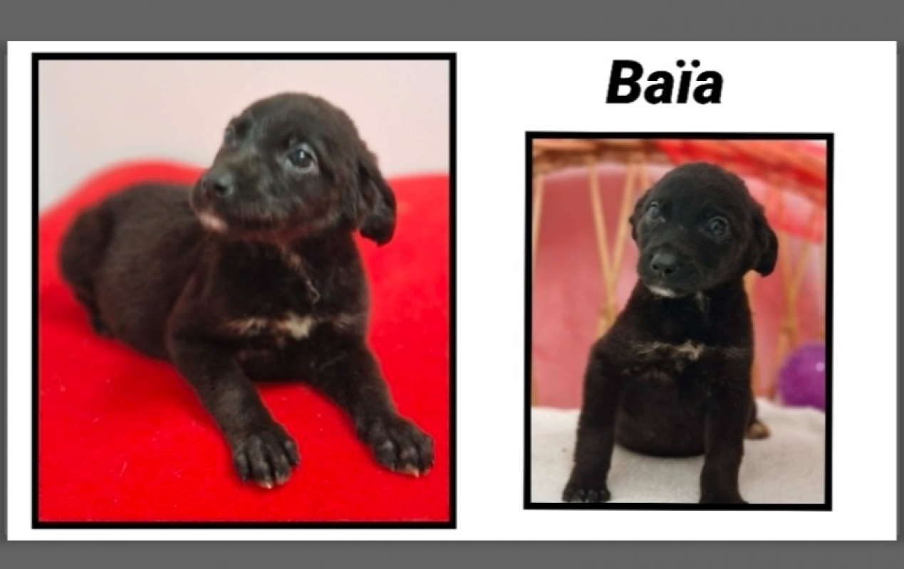 Photo de BaÏa réservé