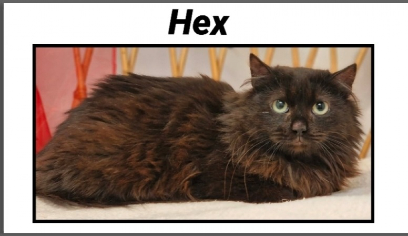 Photo de Hex