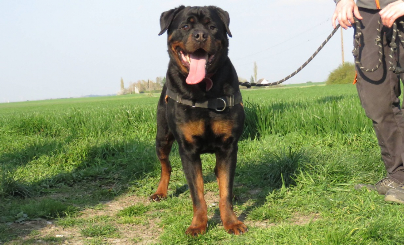 Photo #2 de S'thanos