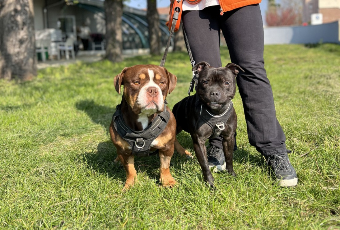 Photo de Choco & vinny