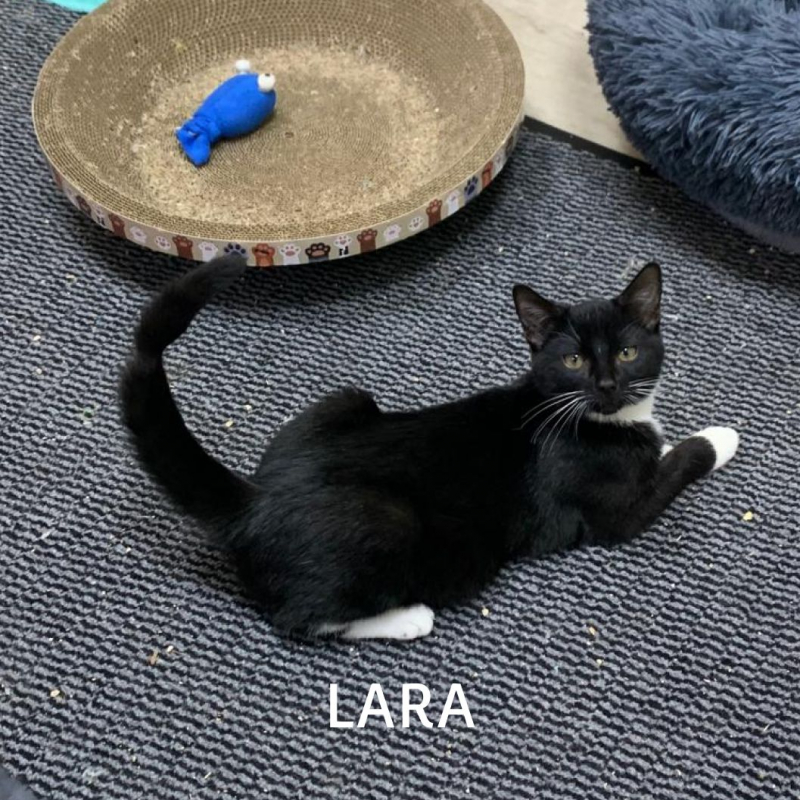 Photo #1 de BOBY & LARA