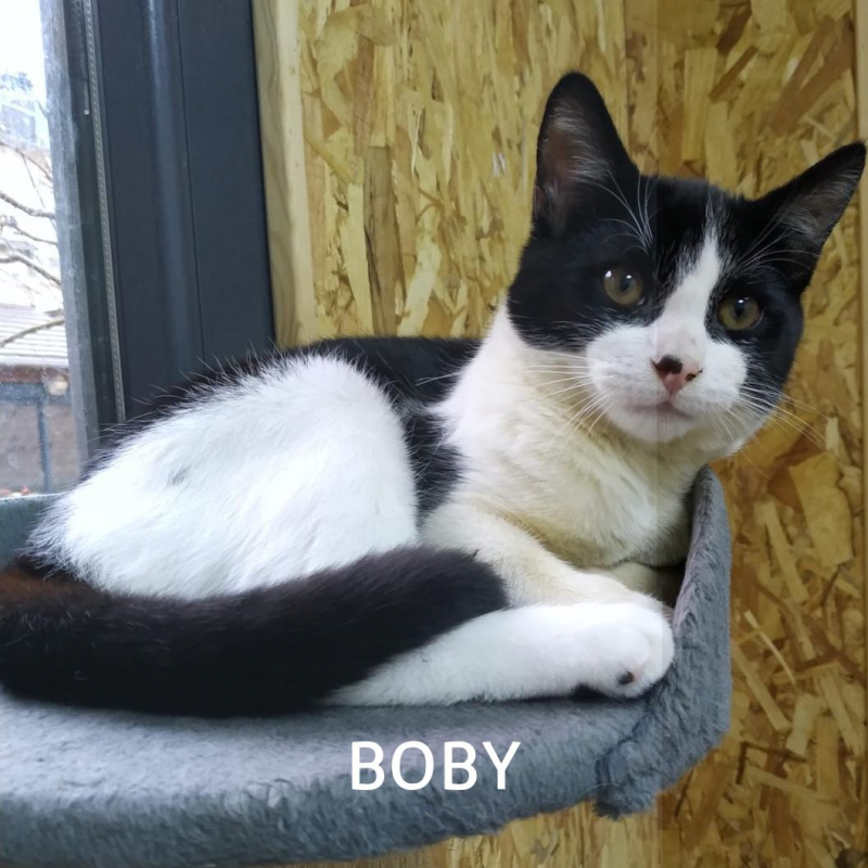 Photo #2 de BOBY & LARA