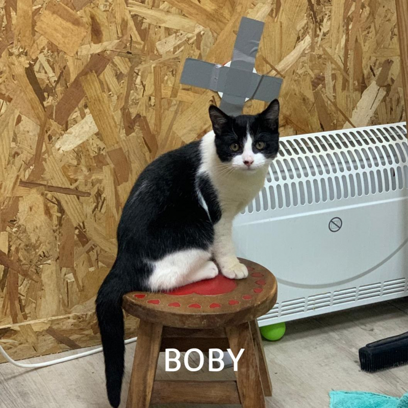 Photo #4 de BOBY & LARA