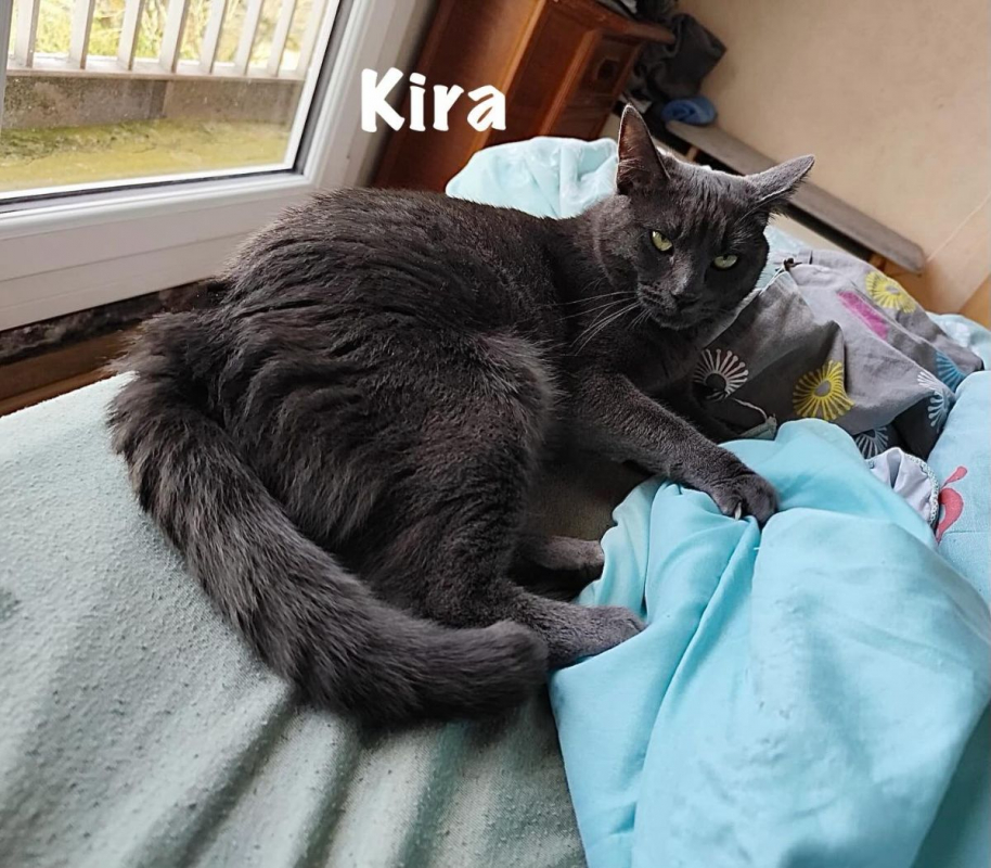 Photo #2 de KIRA