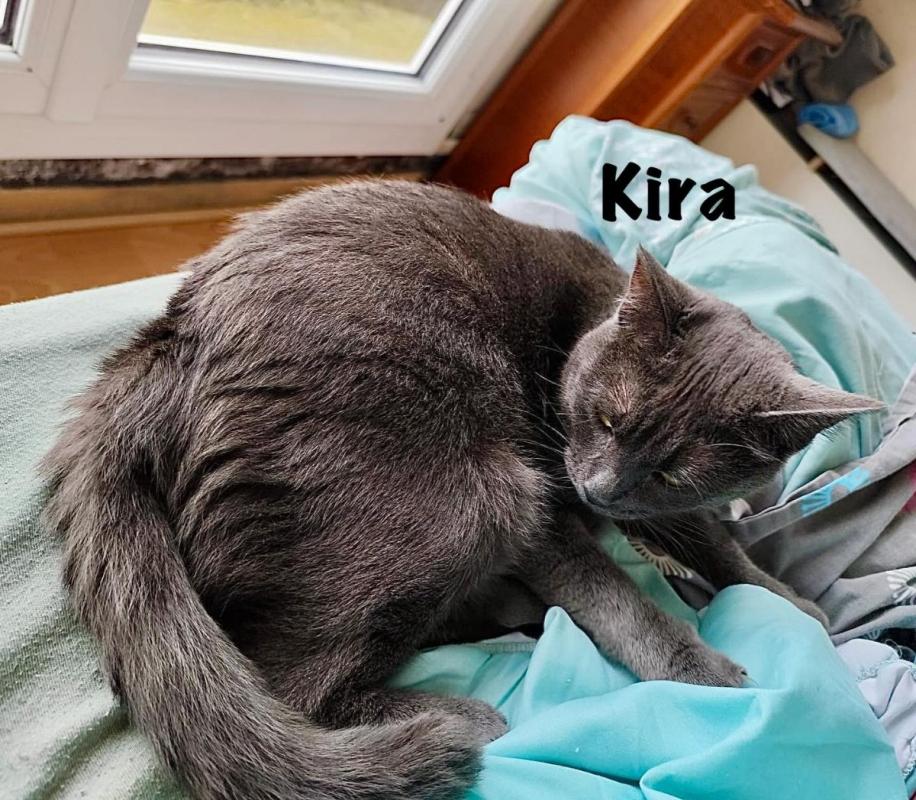 Photo #3 de KIRA