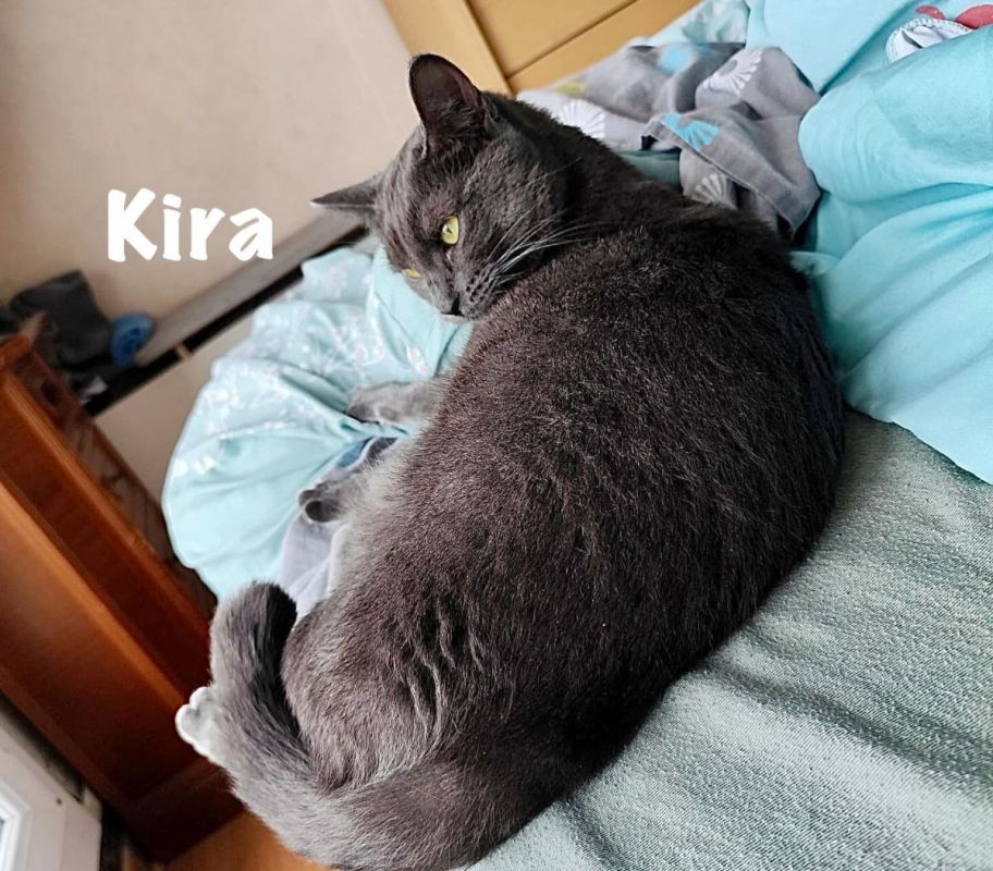 Photo #4 de KIRA