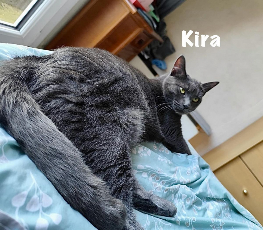 Photo #5 de KIRA
