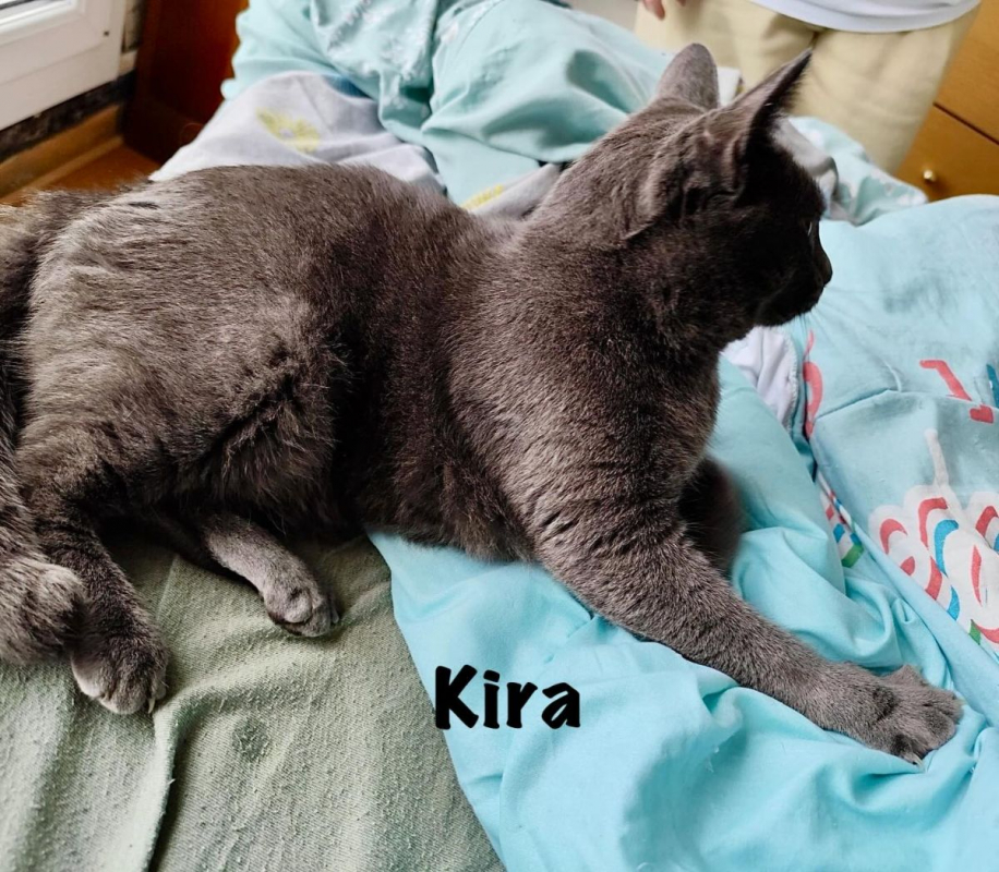 Photo #6 de KIRA