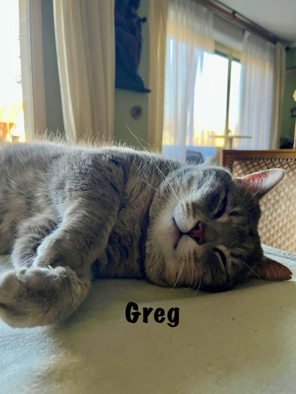 Photo #5 de GREG