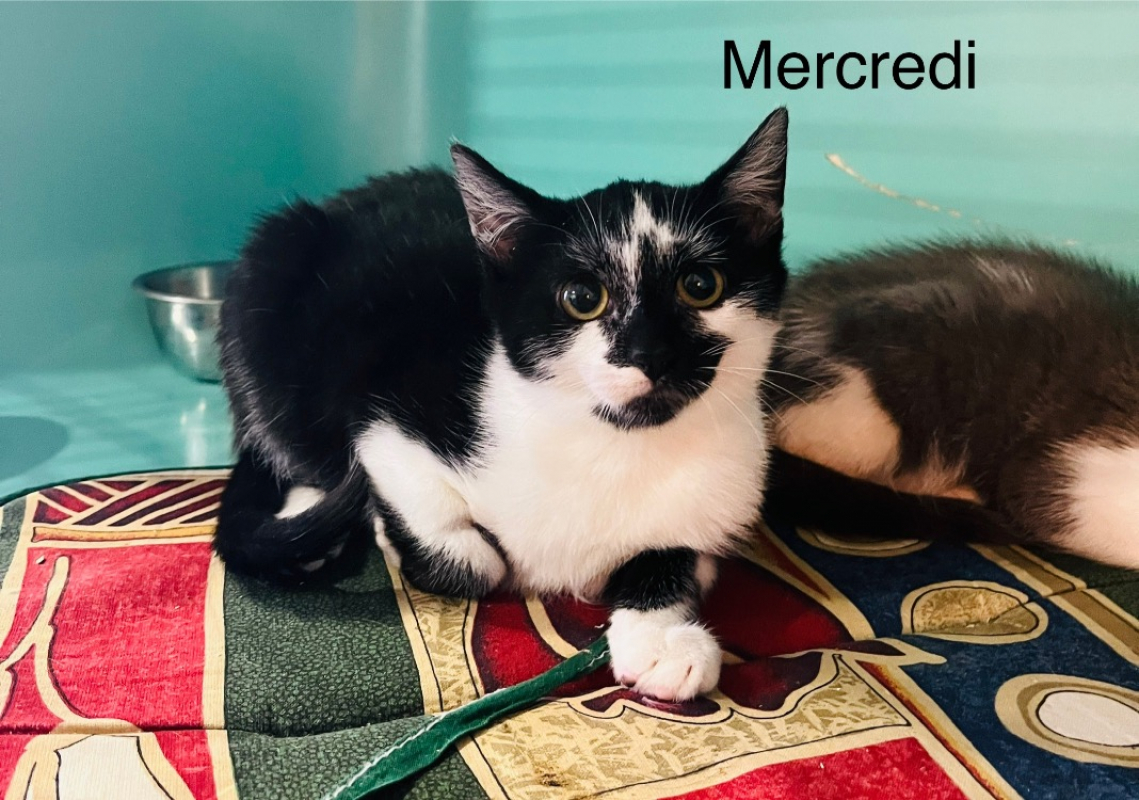 Photo de Mercredi