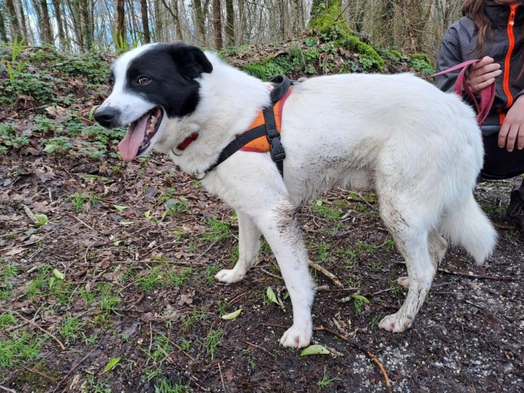 Photo #1 de Texas réservé