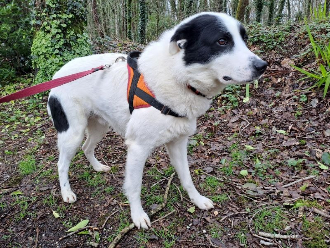 Photo #2 de Texas réservé