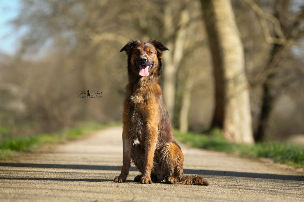 Photo #2 de Sao polo