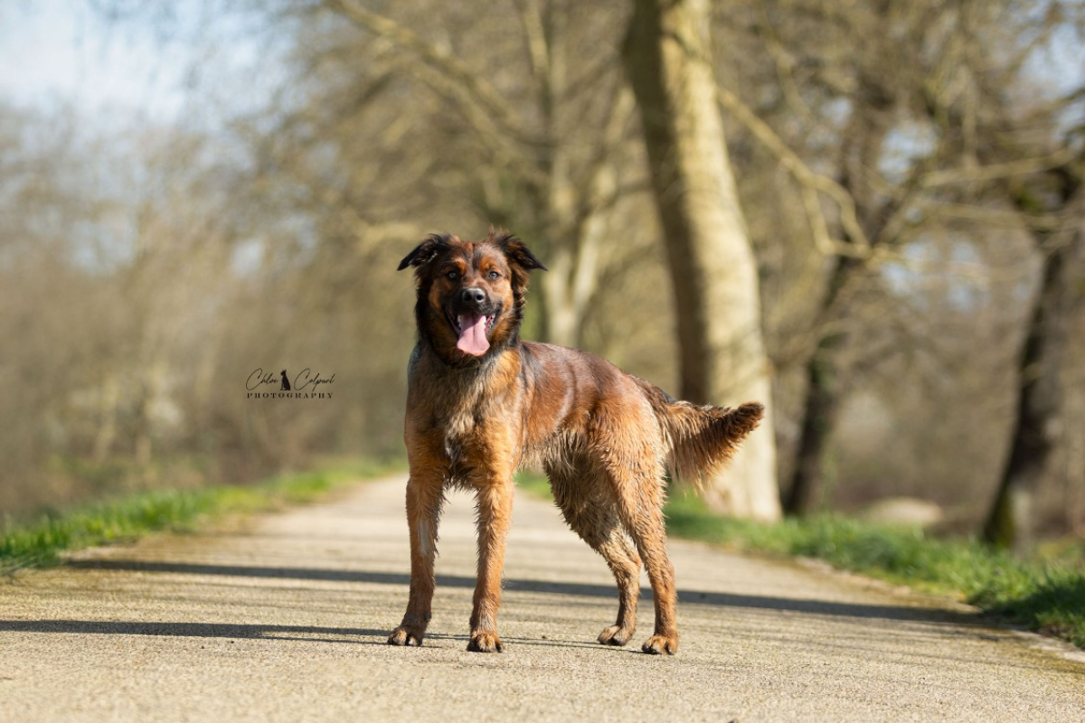 Photo #3 de Sao polo