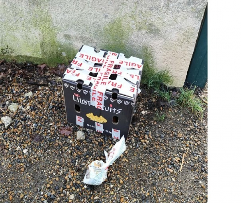 Photo #3 de Mareva en duo avec thahia