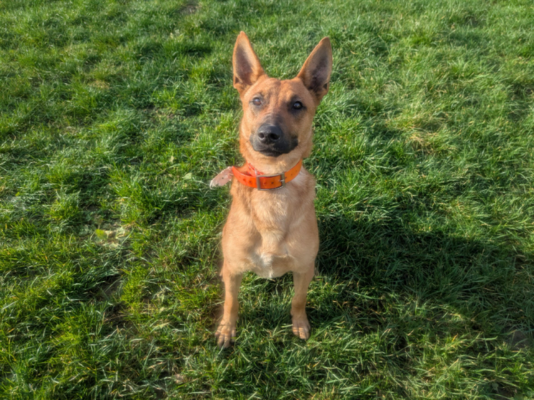 Photo #2 de Aristote