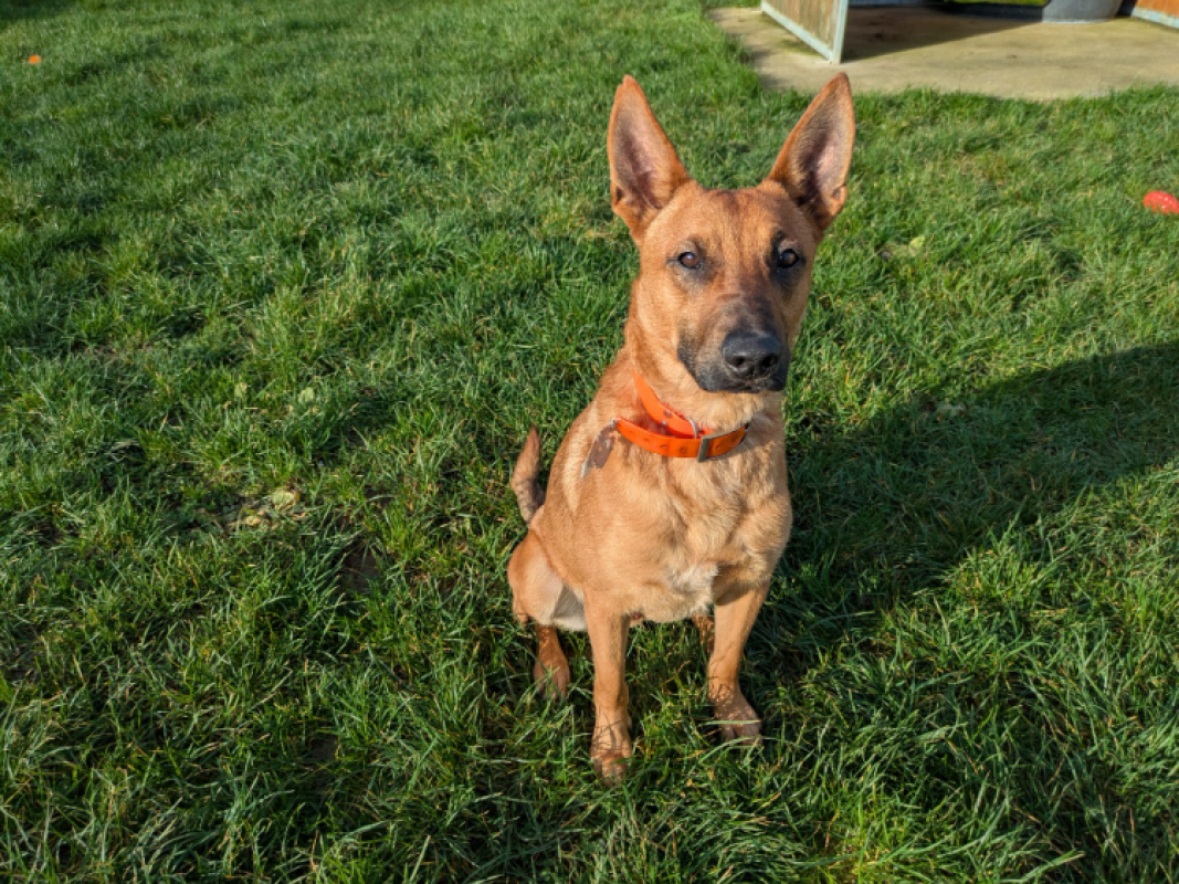 Photo #3 de Aristote