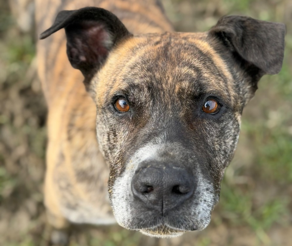 Photo #2 de Babouille