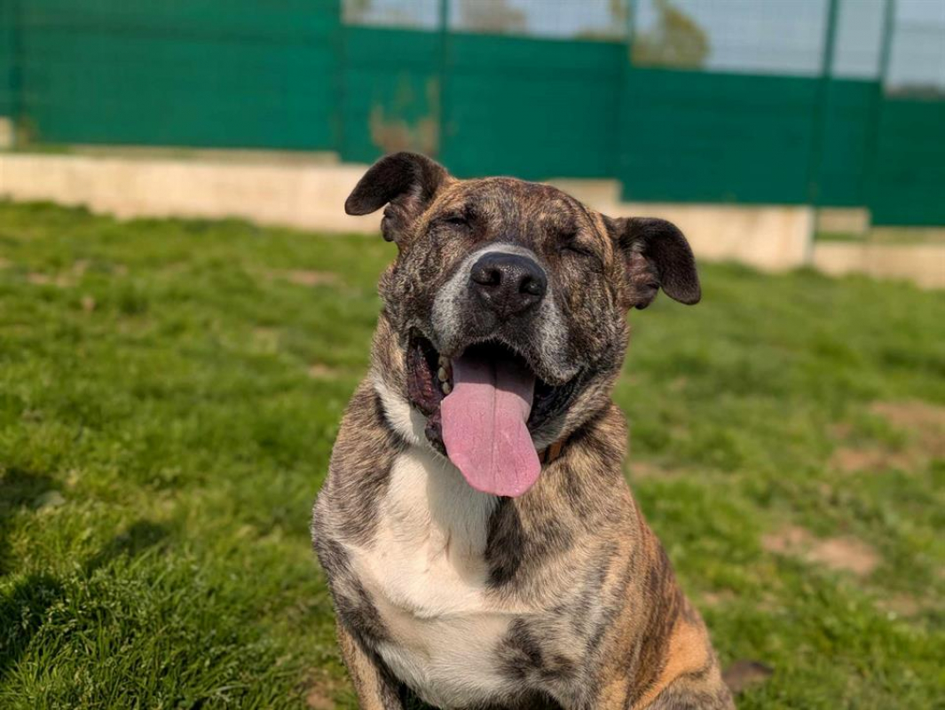 Photo #4 de Babouille