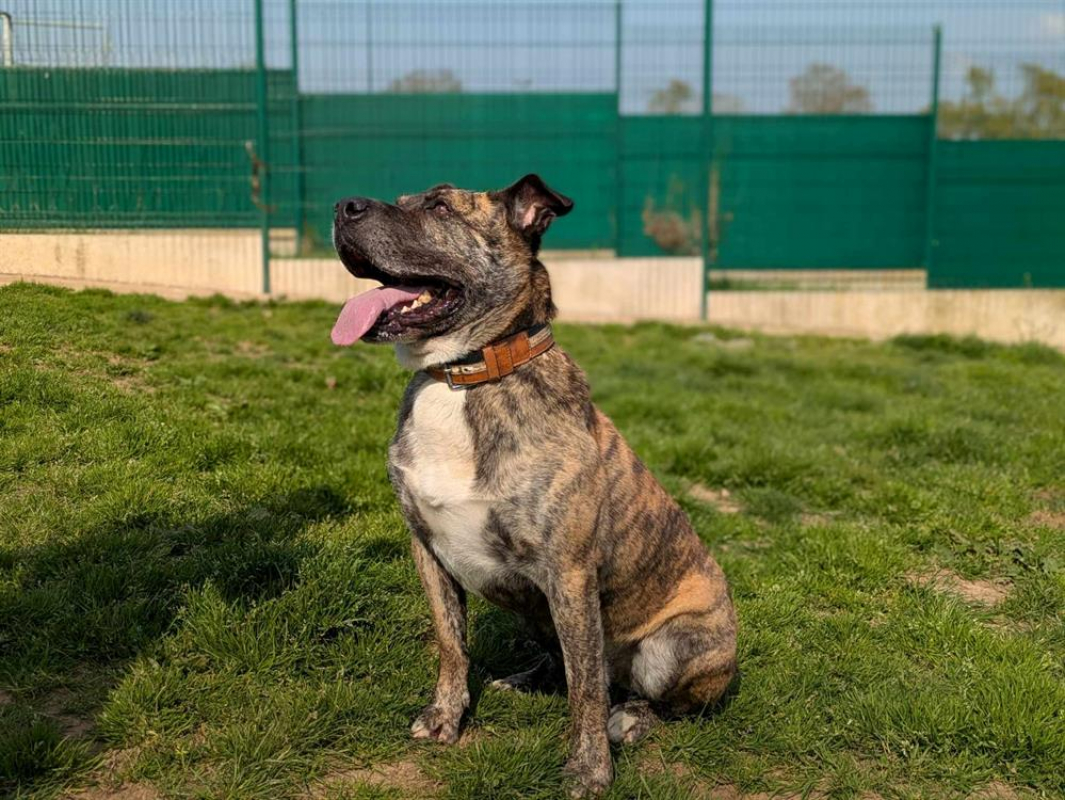 Photo #5 de Babouille