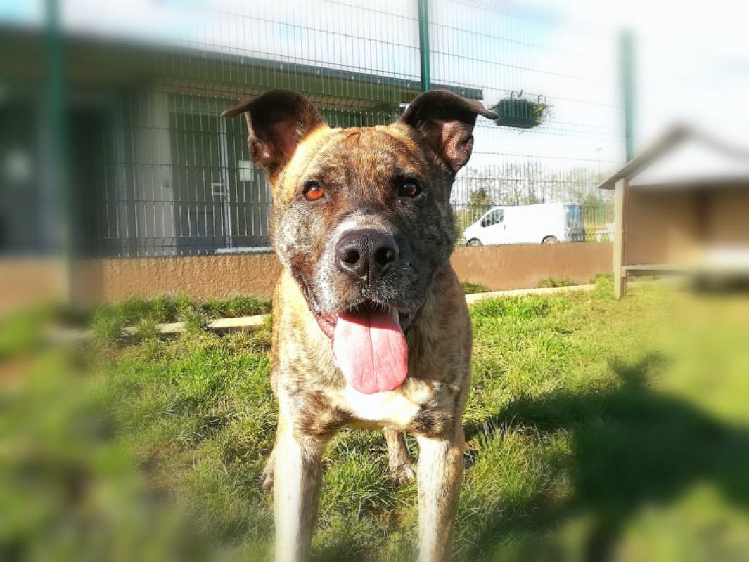 Photo #8 de Babouille