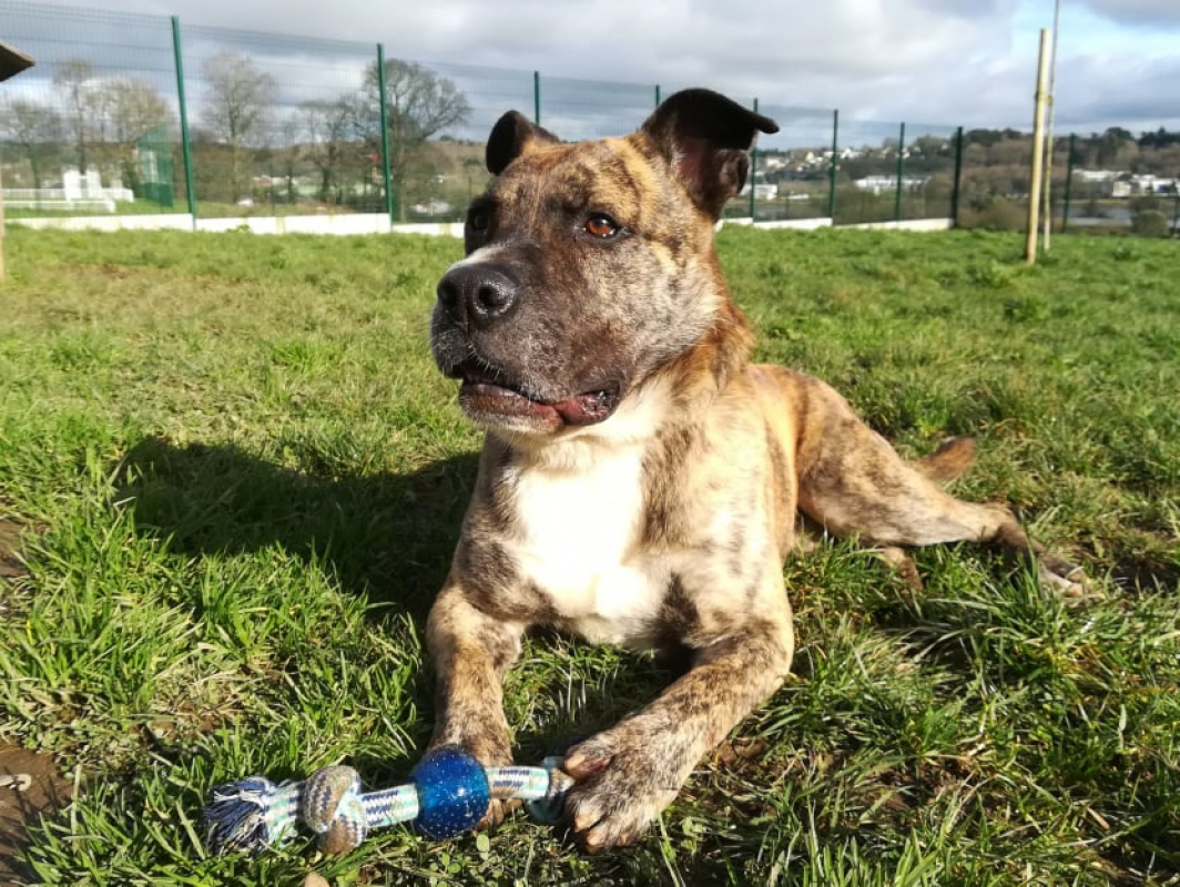 Photo #11 de Babouille