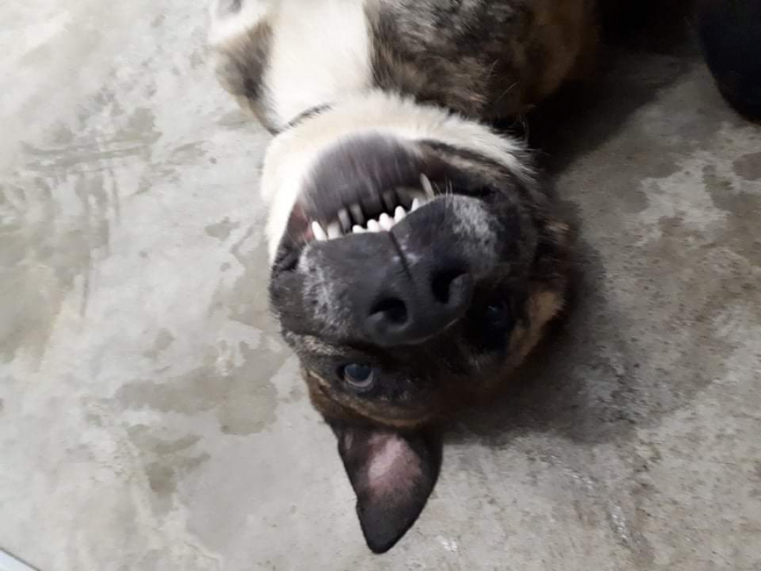 Photo #14 de Babouille