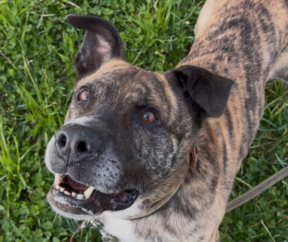 Photo #15 de Babouille